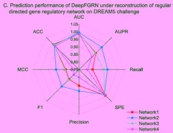 network1...表示不同的GRN数据集