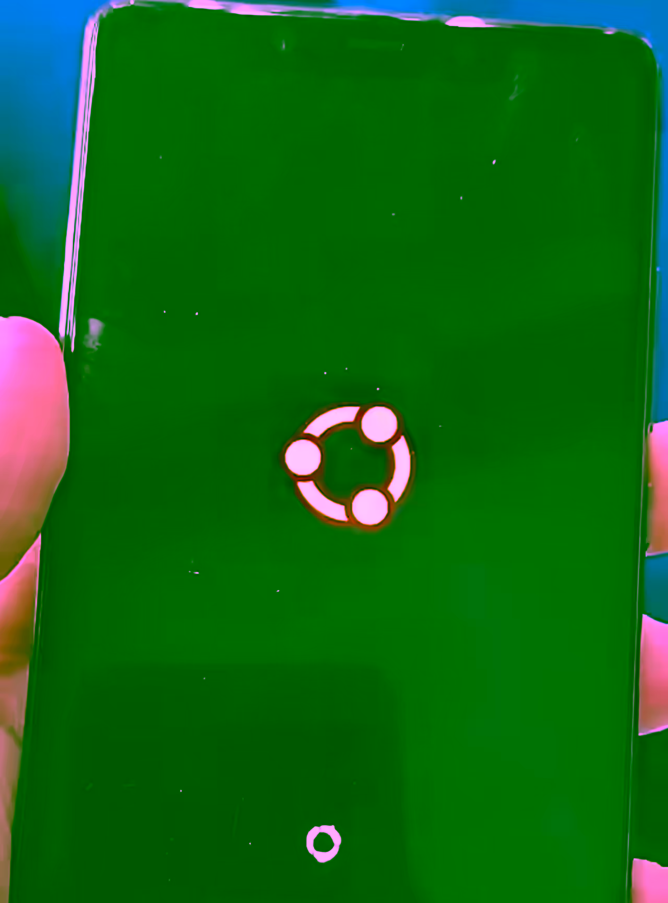 在安卓手机上安装 Linux 系统 ：小米 8 SE